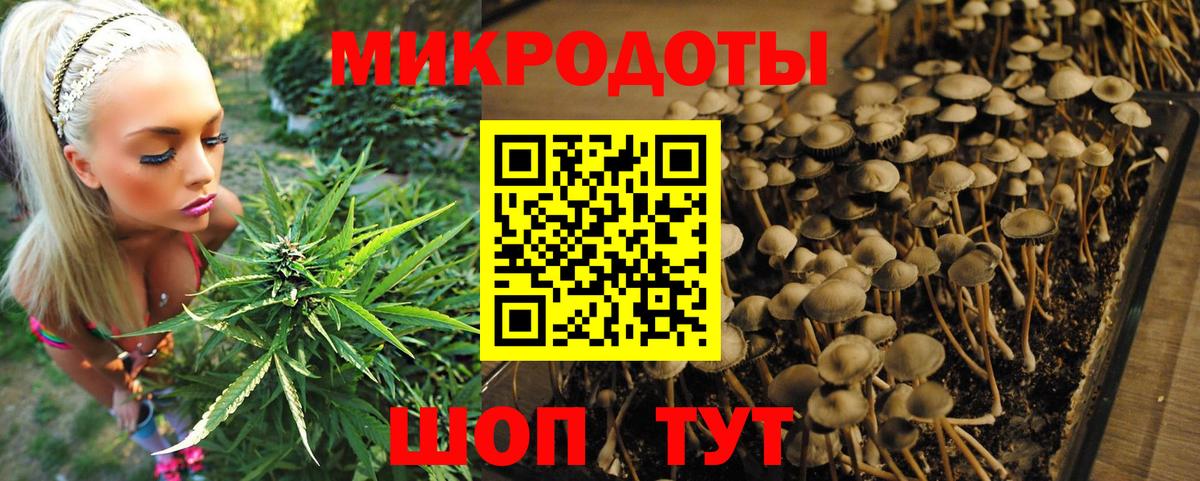 что такое   Галлюциногенные грибы ЛСД  Каменск-Уральский  Вход с VPN  Галлюциногенные грибы ЛСД 